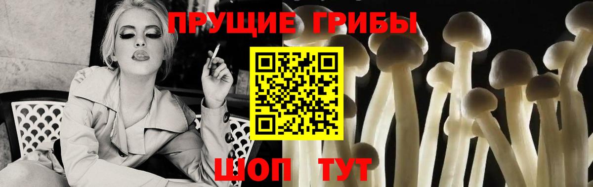 Ишим  Псилоцибиновые грибы ЛСД  Вход с VPN  Галлюциногенные грибы Psilocybe 
